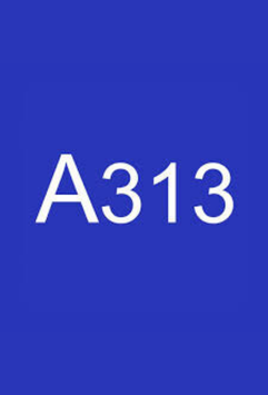 A313