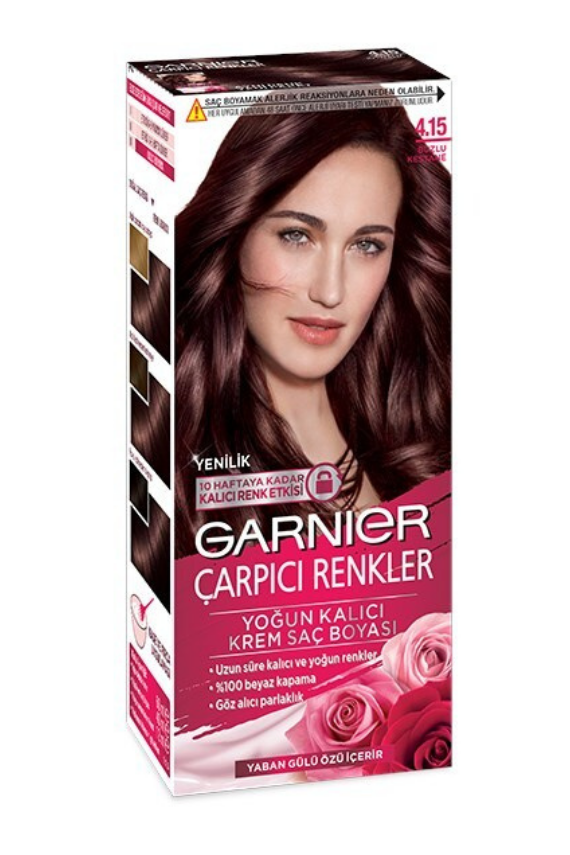 Garnier Çarpıcı Renkler 4.15 Buzlu Kestane - 1
